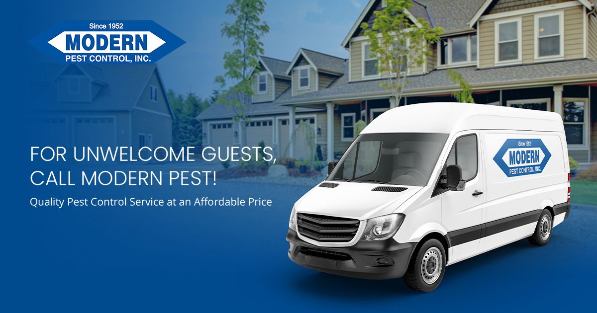 Pest Control In Katy & Houston TX | Modern Pest Control