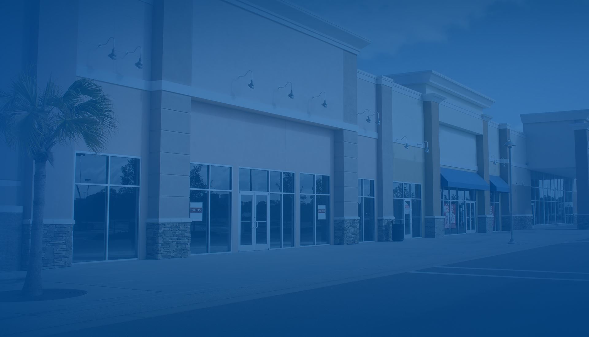 Pest Control In Katy & Houston TX Modern Pest Control