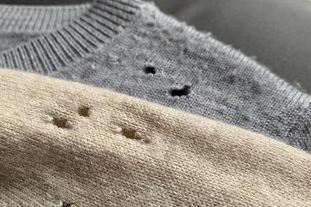 Moths on clothes