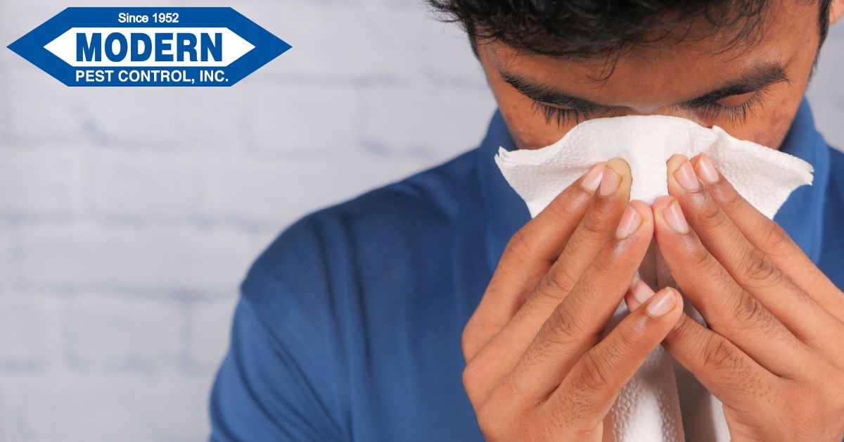The Connection Between Pests and Allergies: Protecting Your Family’s Health