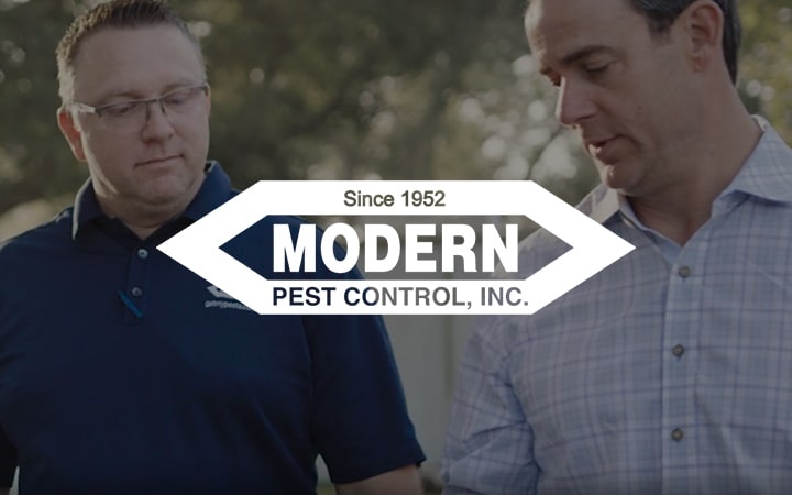Modern Pest Solutions | Pest Control in Katy